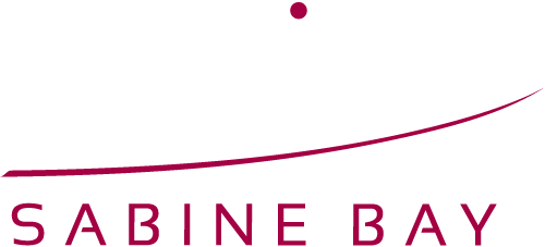 MEVI Logo